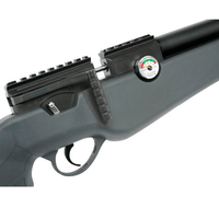 UMAREX ORIGIN .22 PCP RIFLE - NeonSales {{ shop.shopifyCountryName }}
