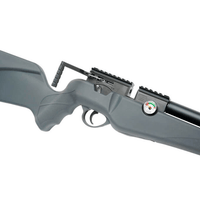 UMAREX ORIGIN .22 PCP RIFLE - NeonSales {{ shop.shopifyCountryName }}