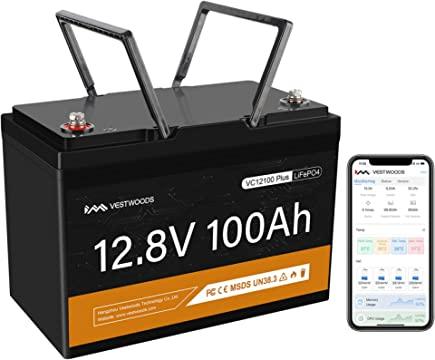 VESTWOODS 12.8V 100AH LIFEPO4 BATTERY WITH BMS - NeonSales {{ shop.shopifyCountryName }}
