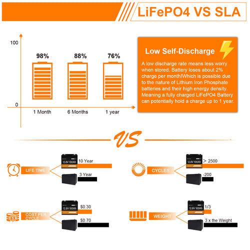 VESTWOODS 12.8V 100AH LIFEPO4 BATTERY WITH BMS - NeonSales South Africa