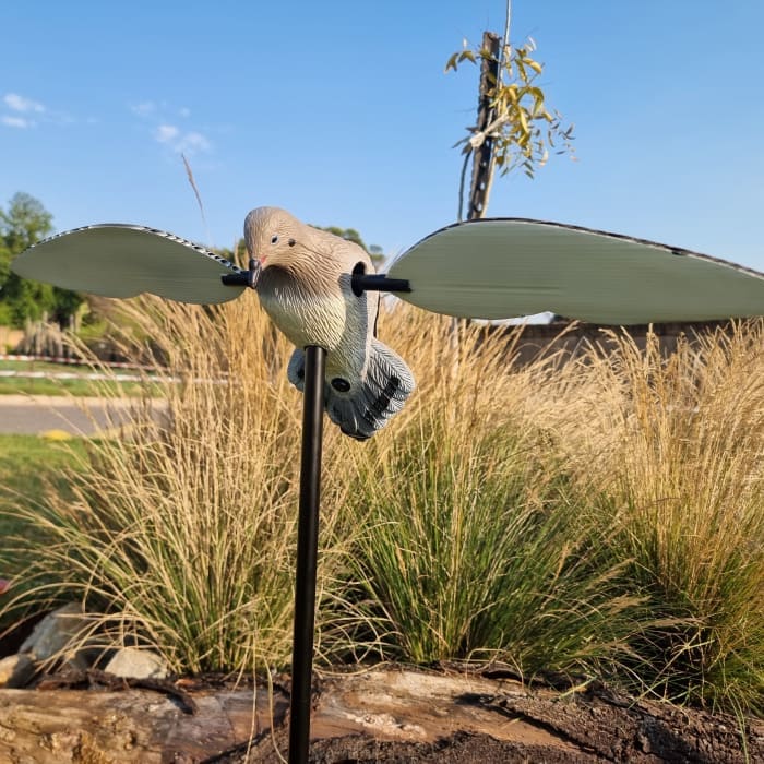 VOODOO DOVE DECOY - PIGEON ON SPIKE ROTATING WINGS - NeonSales {{ shop.shopifyCountryName }}