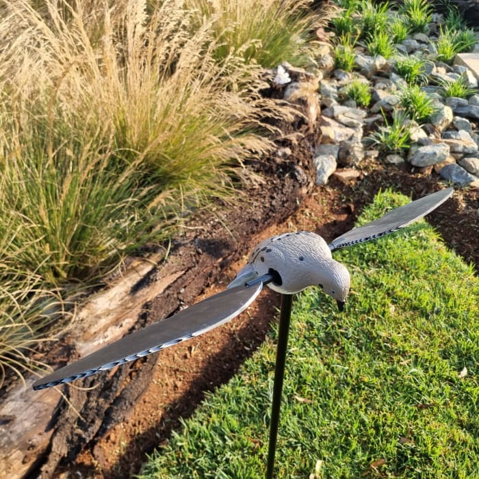 VOODOO DOVE DECOY - PIGEON ON SPIKE ROTATING WINGS - NeonSales {{ shop.shopifyCountryName }}