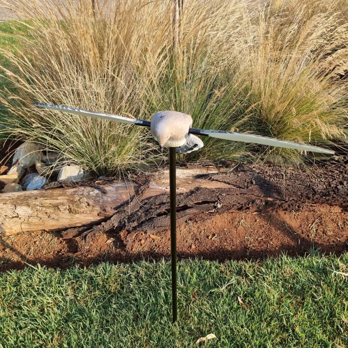 VOODOO DOVE DECOY - PIGEON ON SPIKE ROTATING WINGS - NeonSales {{ shop.shopifyCountryName }}