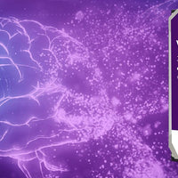WESTERN DIGITAL PURPLE 12TB PRO SURVEILLANCE HDD - NeonSales {{ shop.shopifyCountryName }}