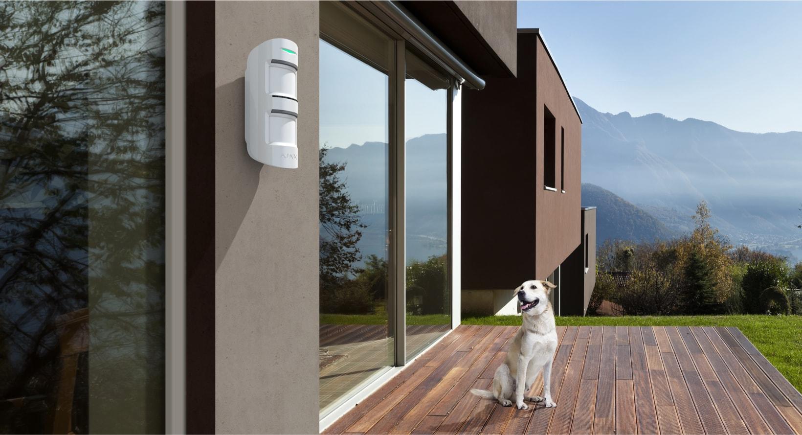 AJAX MOTION PROTECT OUTDOOR - NeonSales {{ shop.shopifyCountryName }}