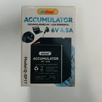 ANDOWL 6V 4.5A BATTERY Q-SP17 - NeonSales {{ shop.shopifyCountryName }}
