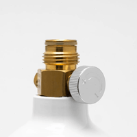 BRASS TAPHEAD VALVE FOR CO2 PAINTBALL TANK - NeonSales {{ shop.shopifyCountryName }}