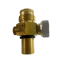 BRASS TAPHEAD VALVE FOR CO2 PAINTBALL TANK - NeonSales {{ shop.shopifyCountryName }}