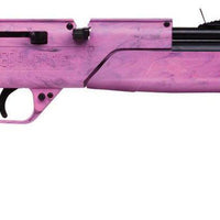 CROSMAN 760 PUMPMASTER MULTI PUMP GUN PINK - NeonSales {{ shop.shopifyCountryName }}