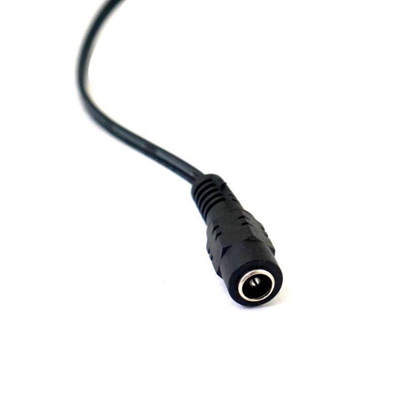 DC FLY LEAD FEMALE - NeonSales {{ shop.shopifyCountryName }}