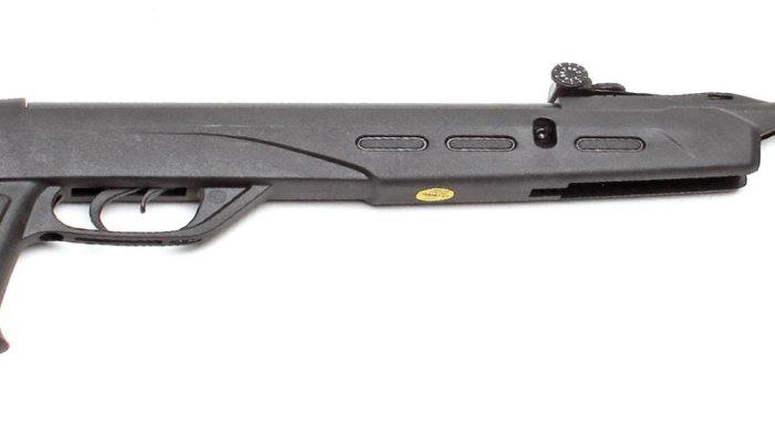 GAMO DELTA FOX GT (NC) .177 - SYNTH - NeonSales South Africa