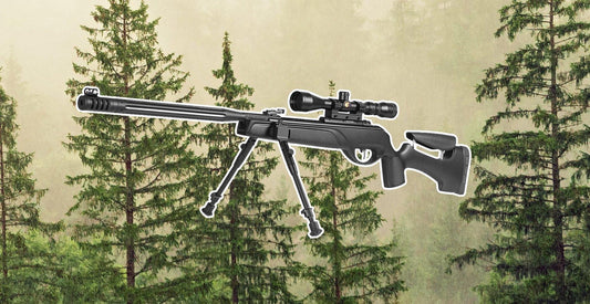 GAMO HPA MI-MAXXIM IGT .22 W/ 3-9X40(WR) SCOPE - NeonSales {{ shop.shopifyCountryName }}