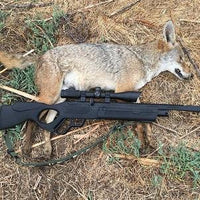 HATSAN VECTIS PCP AIR RIFLE SYNTH 5.5MM - NeonSales {{ shop.shopifyCountryName }}