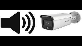 HIKVISION 4MP ACUSENSE CAMERA WITH ALARM + STROBE - NeonSales {{ shop.shopifyCountryName }}