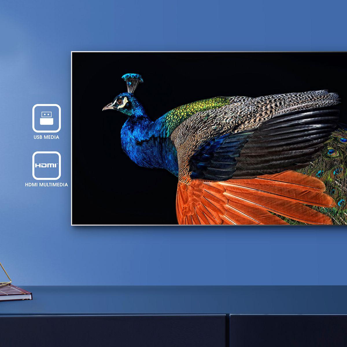 HISENSE 40 INCH LED TV - NeonSales {{ shop.shopifyCountryName }}