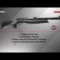 GAMO AIR RIFLE ARROW PCP 5.5MM