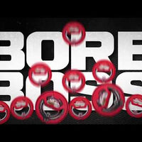 REAL AVID® BORE BOSS BARREL CLEANER - .223 / 5.56