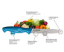 KAI HOCHO PARING KNIFE SERRATED BLUE - NeonSales {{ shop.shopifyCountryName }}
