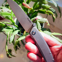 RUIKE KNIFE P831-SF SILVER - NeonSales {{ shop.shopifyCountryName }}