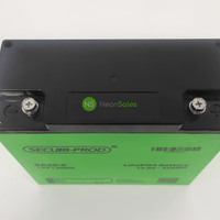 SECURI-PROD 12V 20AH LITHIUM LIFEPO4 BATTERY - NeonSales {{ shop.shopifyCountryName }}