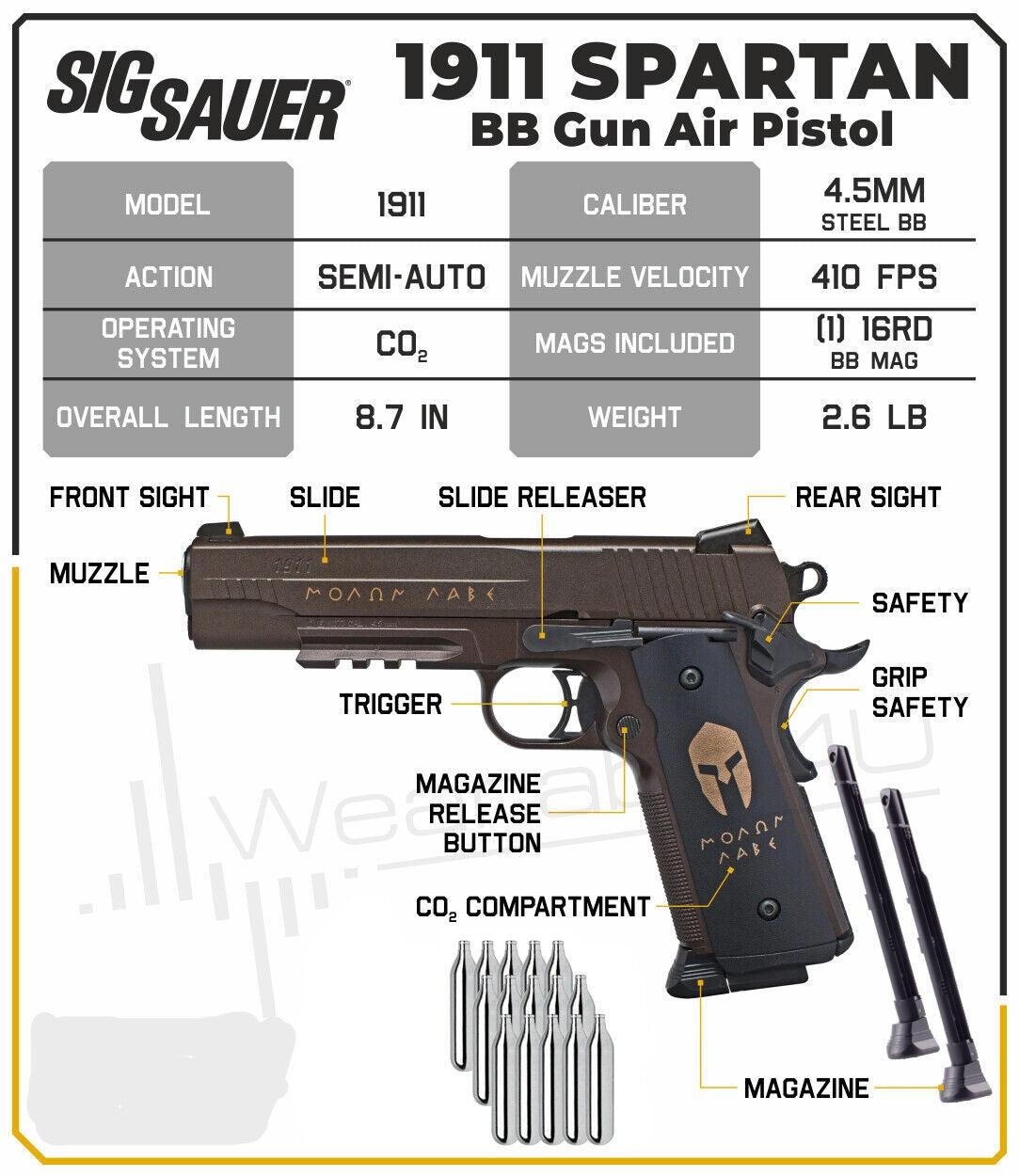 SIG SAUER 1911 SPARTAN CO2 BLOWBACK PISTOL COMBO - NeonSales South Africa