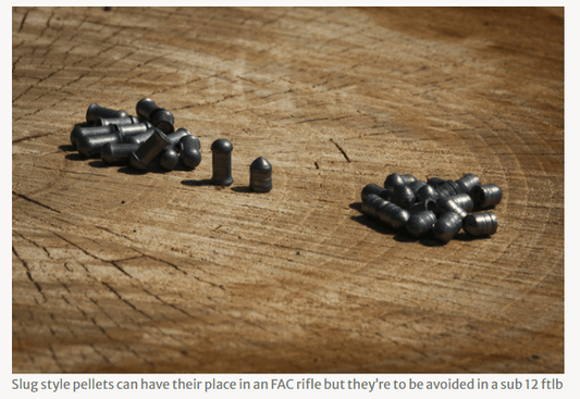 SPOT ON .22 CAL (29GR) ARES SLUGS - 175's - NeonSales {{ shop.shopifyCountryName }}
