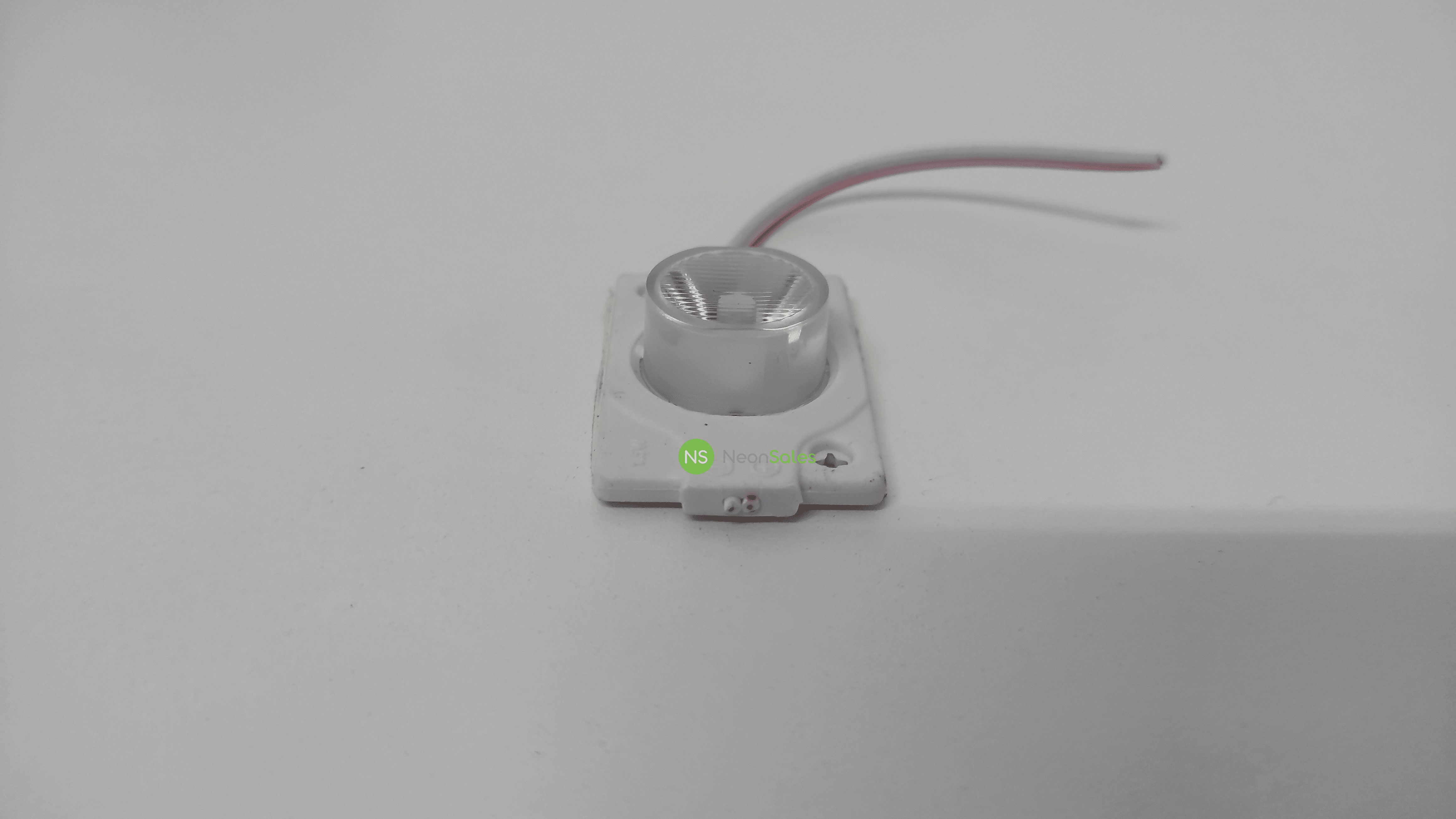 Colorless Project Status Lamp STATUS LIGHT - WHITE | NeonSales