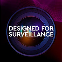 WESTERN DIGITAL 1TB SURVEILLANCE HARD DRIVE - NeonSales {{ shop.shopifyCountryName }}