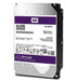 WESTERN DIGITAL SURVEILLANCE HDD 10TB - NeonSales {{ shop.shopifyCountryName }}